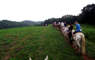 horseback riding pigeon forge