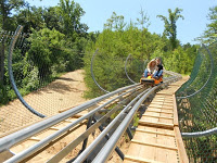 DSCN1012 - THE LONGEST ALPINE COASTER IN THE UNITED STATES IS IN PIGEON FORGE!