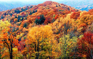 smoky mountain fall colors