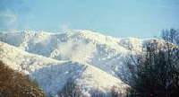 Smoky Mountains covered with snow - MERRY CHRISTMAS AND HAPPY HOLIDAYS FROM THE GREAT SMOKY MOUNTAINS!