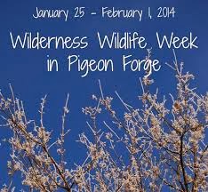 WWW sign - WILDERNESS WILDLIFE WEEK, PIGEON FORGE-AN EVENT FOR ALL AGES