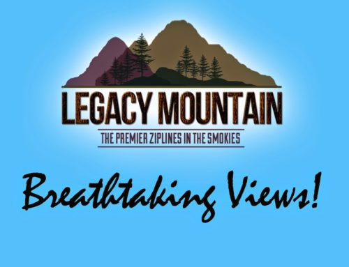 Legacy Mountain Ziplines