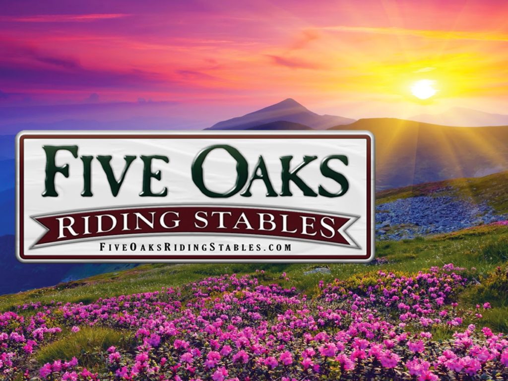FiveOaksStablesOpenslide edited 1 1 1024x768 - FIVE OAKS RIDING STABLES.. A NATURE PARK WITH AMAZING VIEWS!