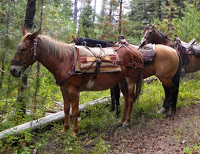 Horsessaddledforride - BIG ROCK DUDE RANCH AT PONDEROSA FOR SMOKY MOUNTAIN FAMILY FUN!