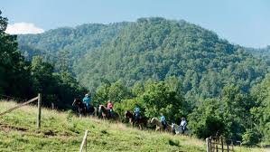 Vista - SADDLE UP AND RIDE THE SMOKIES AT FIVE OAKS RIDING STABLES
