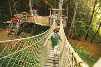 foxfire mtn 178 - FOXFIRE MOUNTAIN - HOME OF THE GOLIATH ZIPLINE AND MUCH MORE!