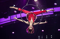 Live aerial show for Christmas Live aerial show for Christmas