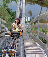 FullSizeRendersamller - COAST INTO THE HOLIDAYS ON THE ALPINE COASTER IN PIGEON FORGE!