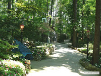 Beautifulpathway - SEE, TOUCH AND FEED THE BIRDS AT PARROT MOUNTAIN