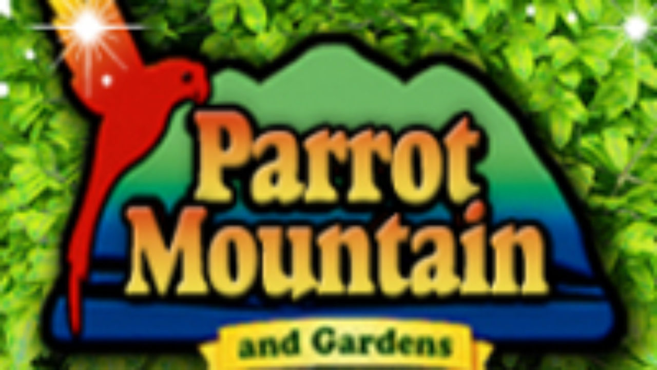 See Touch And Feed The Birds At Parrot Mountain Best Read Guide