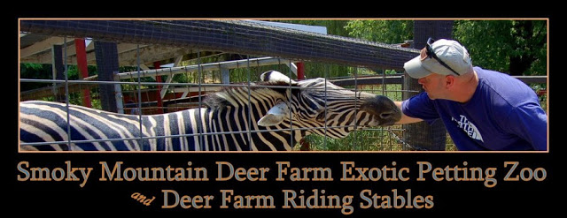 Smoky Mountain Deer Farm Logo Large - Smoky Mountain Deer Farm offers Exotic Petting Zoo and Riding Stables