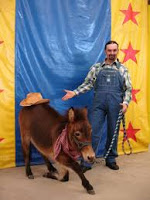 Donkey - COMEDIANS + ANIMALS + MUSICIANS + JUGGLERS = COMEDY BARN THEATER FUN!