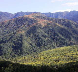 TheSmokies - FLY THE FRIENDLY SMOKY MOUNTAIN SKIES WITH SCENIC HELICOPTER TOURS