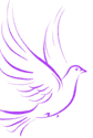 Purple Dove Right - Smoky Mountain Weddings