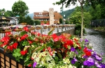 GatlinburgDowntown Flowers - GATLINBURG, ONE OF AMERICA'S FAVORITE DESTINATIONS