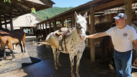 HorseAppaloosa - BIG ROCK DUDE RANCH FOR AN UNFORGETTABLE DAY OF FAMILY FUN