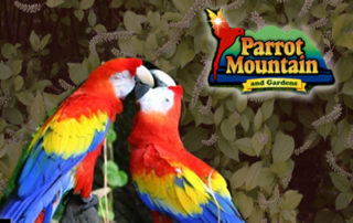 parrot mountain gardens pigeon forge
