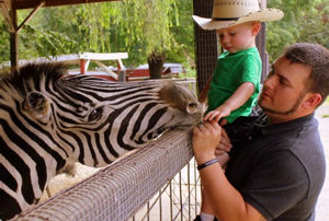 smoky mountain deer farm exotic petting zoo riding stable