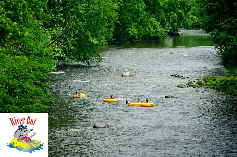 River2Logo - Townsend Tennessee Coupons & Attractions