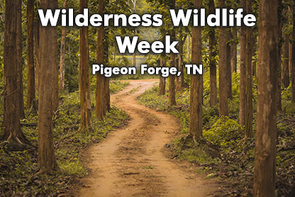 wilderness-wildlife-week wilderness wildlife week