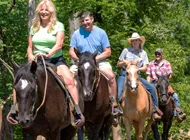 Adventure Park - Coupons - Pigeon Forge & Gatlinburg